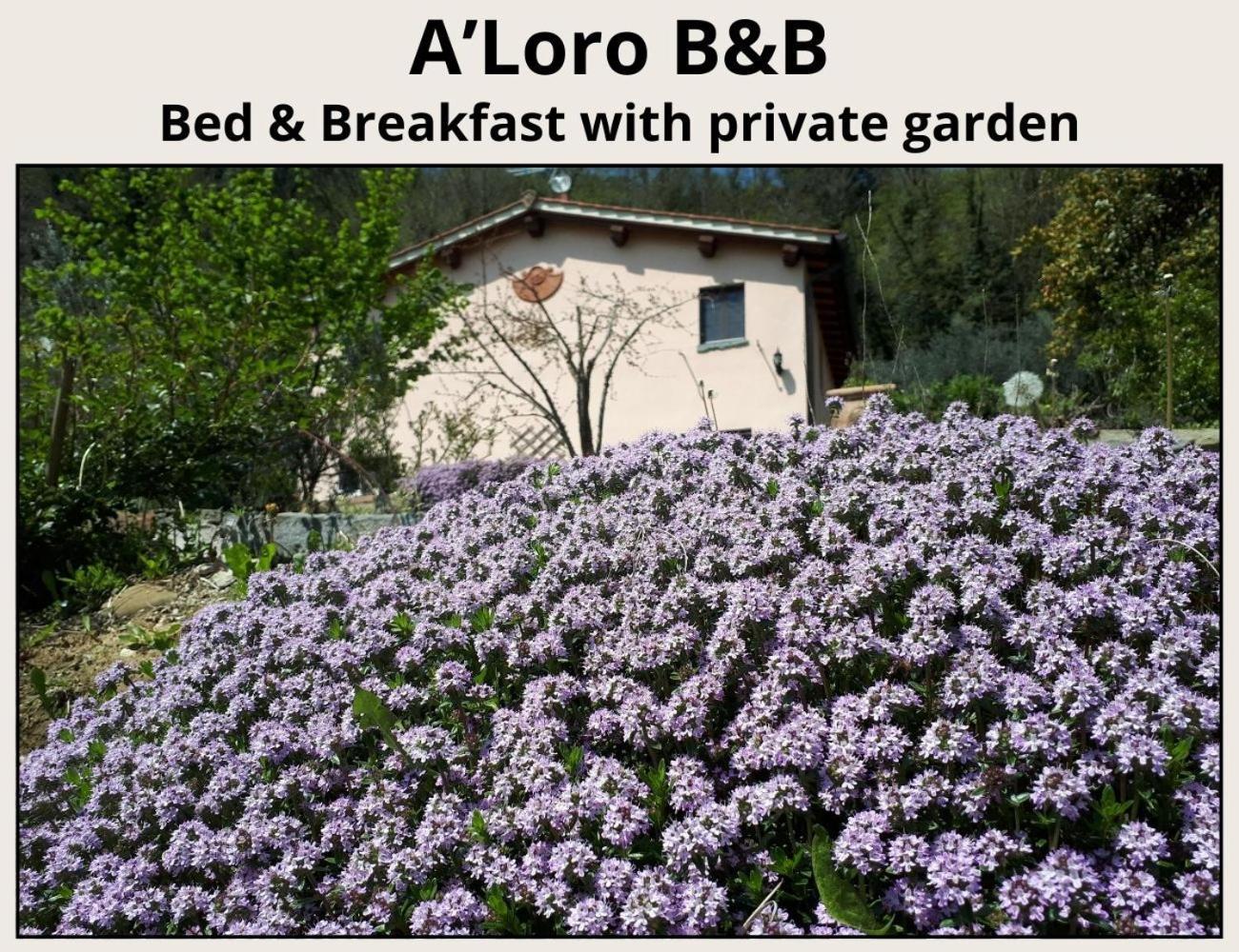 טרנובה ברצ'וליני A'Loro B&B מראה חיצוני תמונה